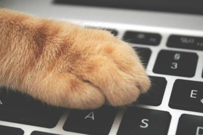 How2 Start a&nbsp;Blog